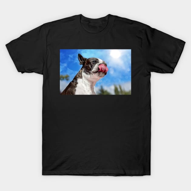 Boston Terrier v Peanut Butter T-Shirt by JeffreySchwartz